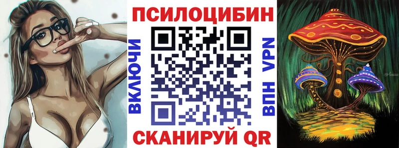 Купить  Грязовец  Псилоцибиновые грибы Cubensis 